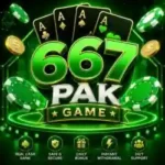 667pak game