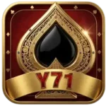 y71 game
