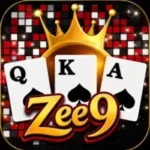 zee9-game