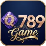 q789 game download